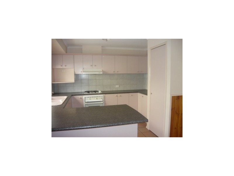 449  Schaefer Street, Lavington NSW 2641