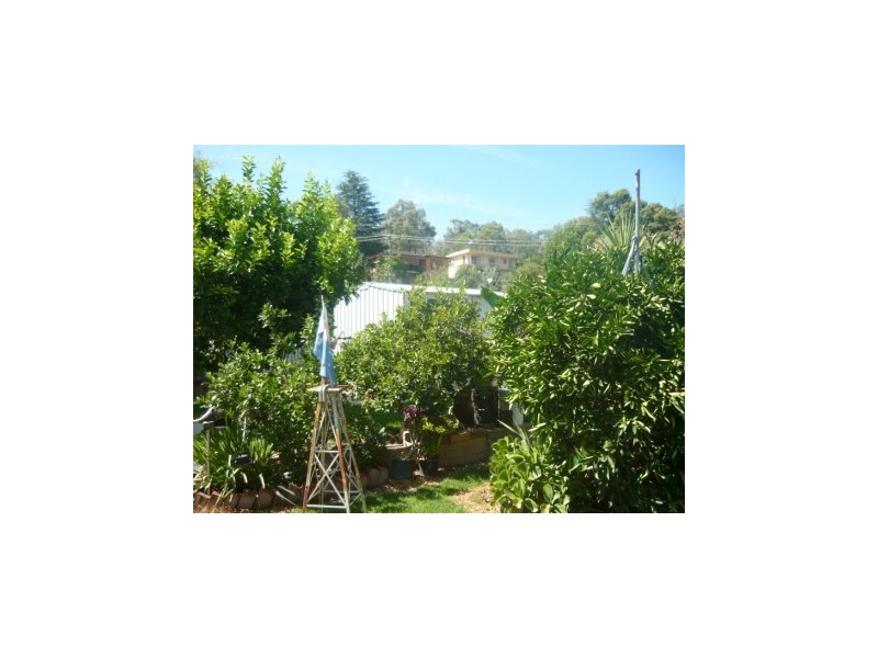 834 Watson Street, Albury NSW 2640
