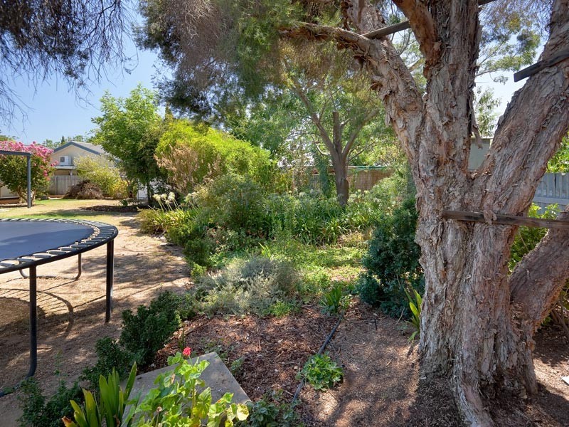 67 Pell Street, Howlong NSW 2643