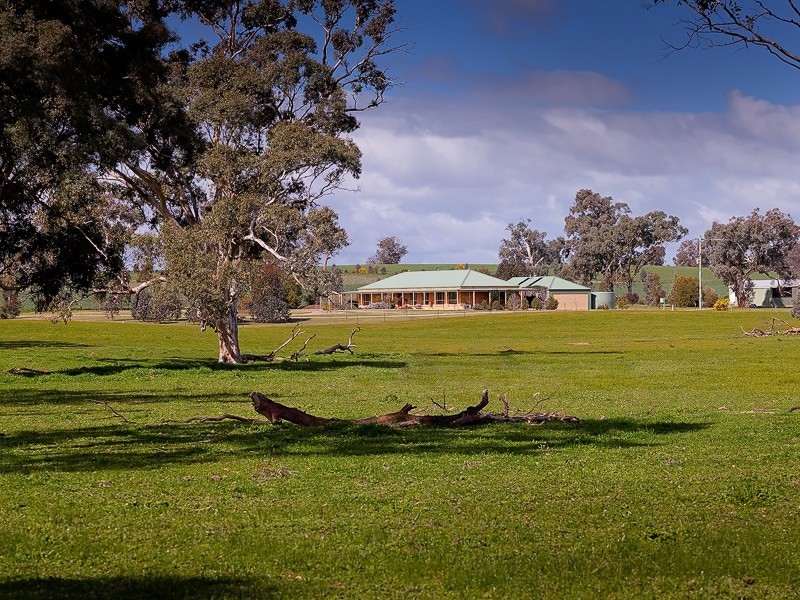 243 Fielder Moll Road “Airlie”, Gerogery NSW 2642