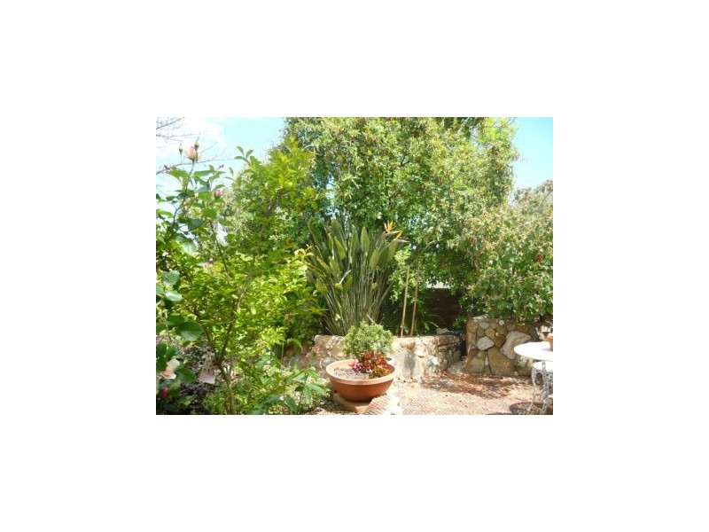 456 Hall Avenue, Lavington NSW 2641