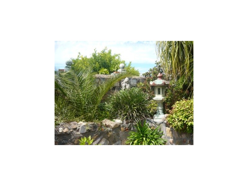 456 Hall Avenue, Lavington NSW 2641