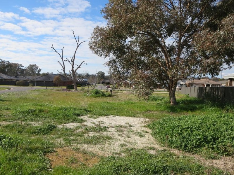 7 Redbox Drive, Thurgoona NSW 2640