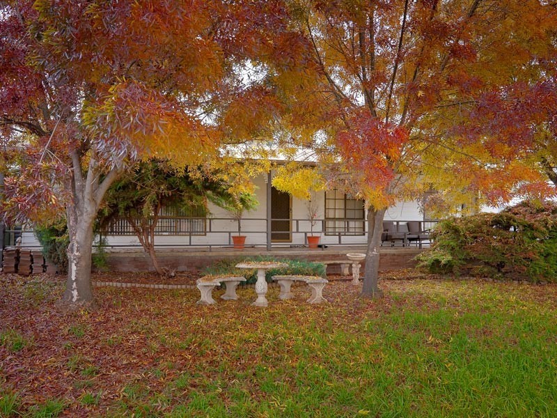 62 Pearce Street, Howlong NSW 2643