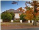 295 Mount Street, East Albury NSW 2640