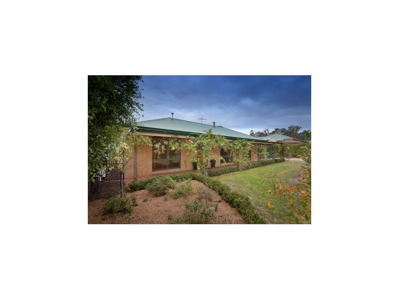 117 Watson Street, Jindera NSW 2642