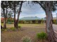 117 Watson Street, Jindera NSW 2642