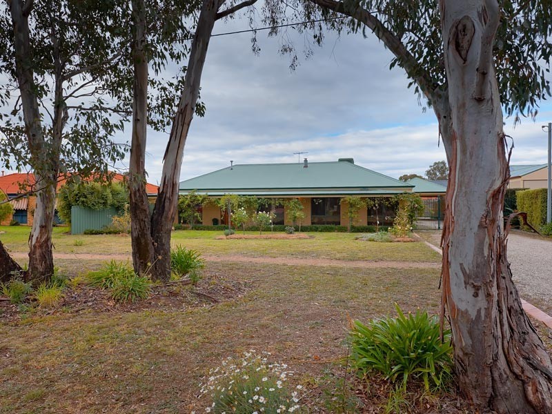 117 Watson Street, Jindera NSW 2642