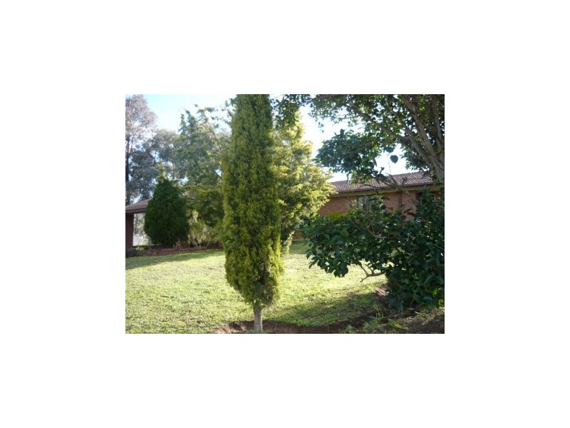 577 Norris Street, Lavington NSW 2641