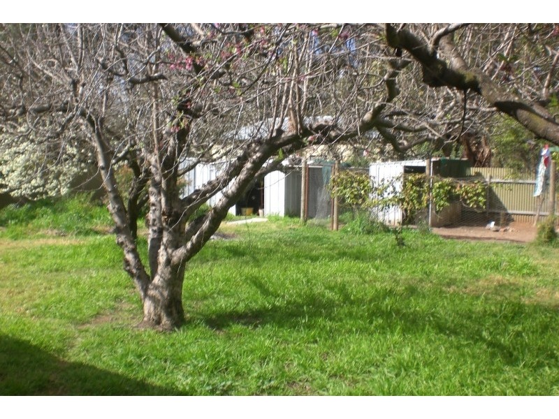 54 Hume Street, Howlong NSW 2643