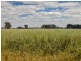Lot 363 Freyers Lane, Corowa NSW 2646