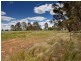 Lot 363 Freyers Lane, Corowa NSW 2646