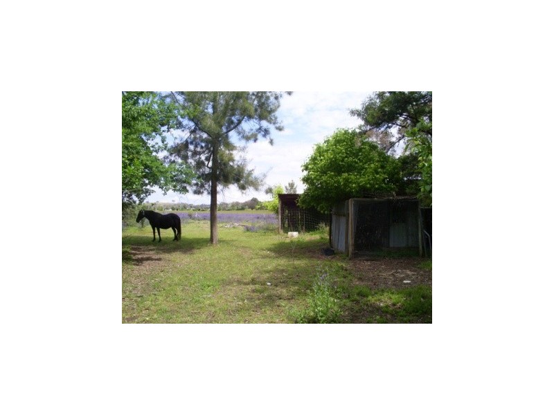 51 Heuske Road “Kameera Park”, Jindera NSW 2642