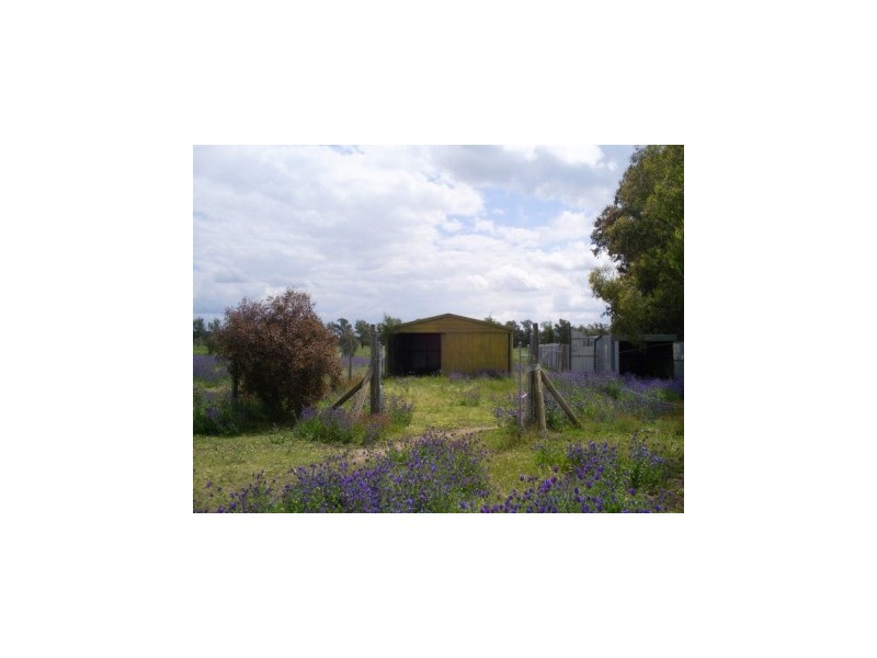 51 Heuske Road “Kameera Park”, Jindera NSW 2642