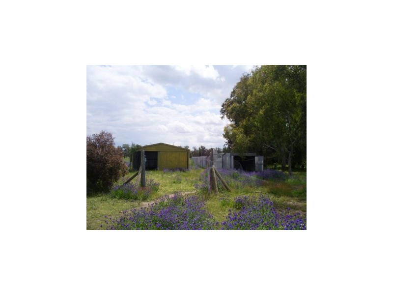 51 Heuske Road “Kameera Park”, Jindera NSW 2642