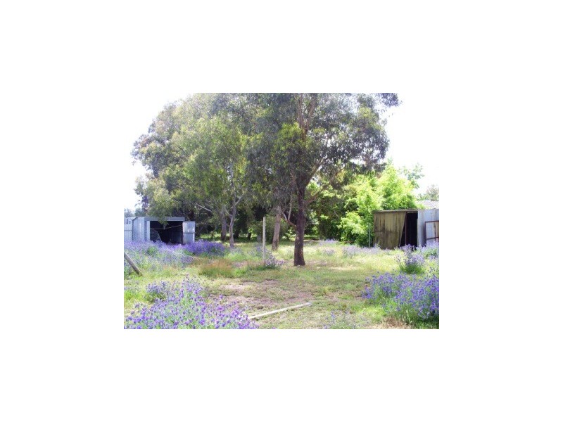 51 Heuske Road “Kameera Park”, Jindera NSW 2642