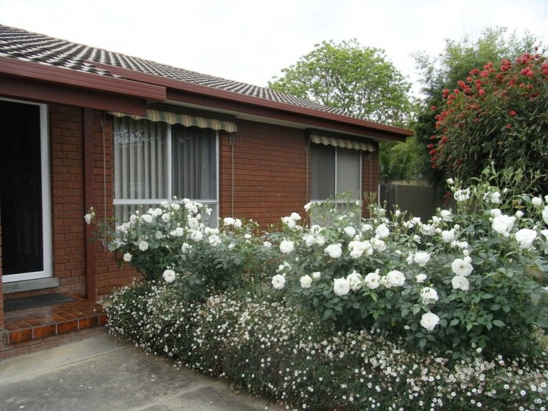 2/26 Wentworth Court, Lavington NSW 2641