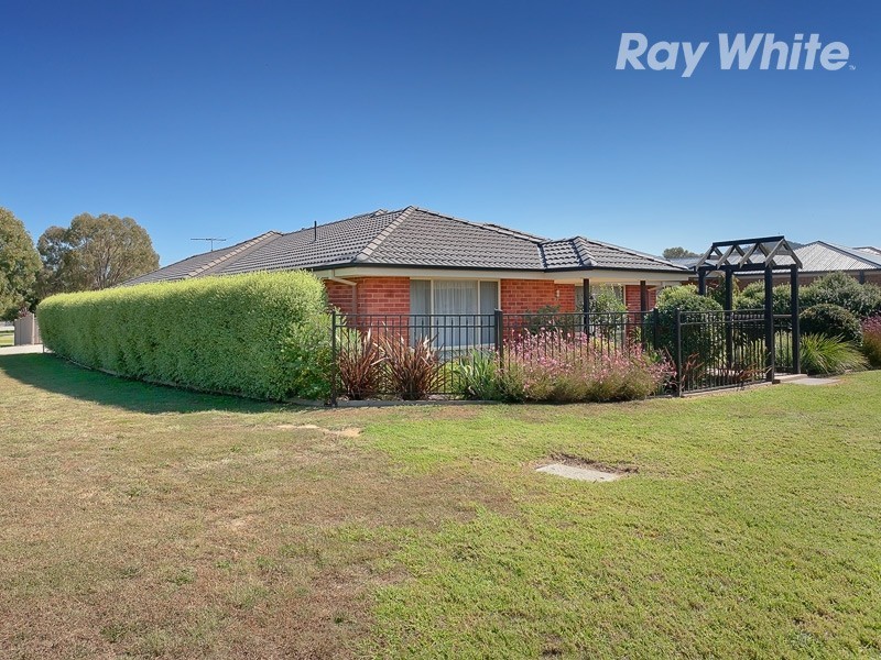 14 Quandong Road, Thurgoona NSW 2640