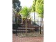 24 Clarke Street West, Howlong NSW 2643