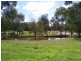 1649 Gerogery Road, Gerogery NSW 2642