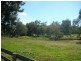 1649 Gerogery Road, Gerogery NSW 2642
