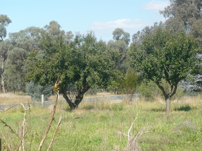 1649 Gerogery Road, Gerogery NSW 2642
