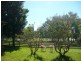 1649 Gerogery Road, Gerogery NSW 2642