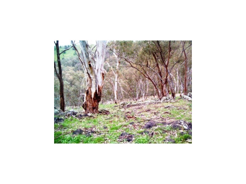 47 Dashiell Lane, Splitters Creek NSW 2640