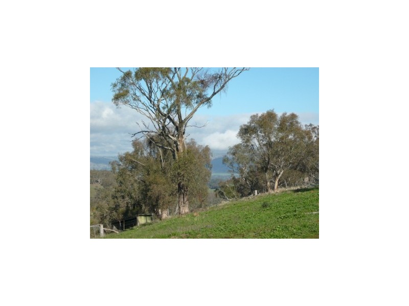 47 Dashiell Lane, Splitters Creek NSW 2640