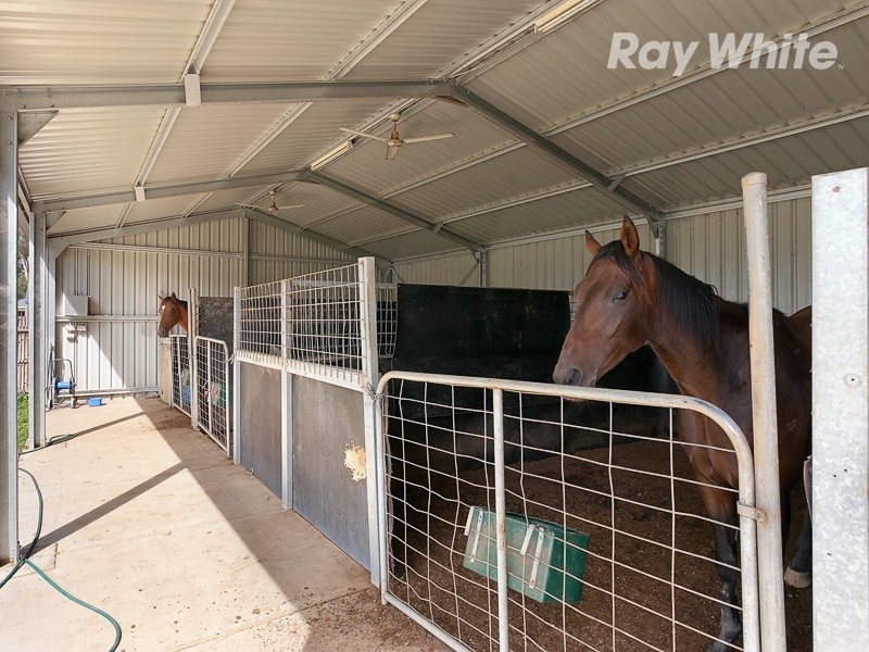 51 Racecourse Road, Albury NSW 2640