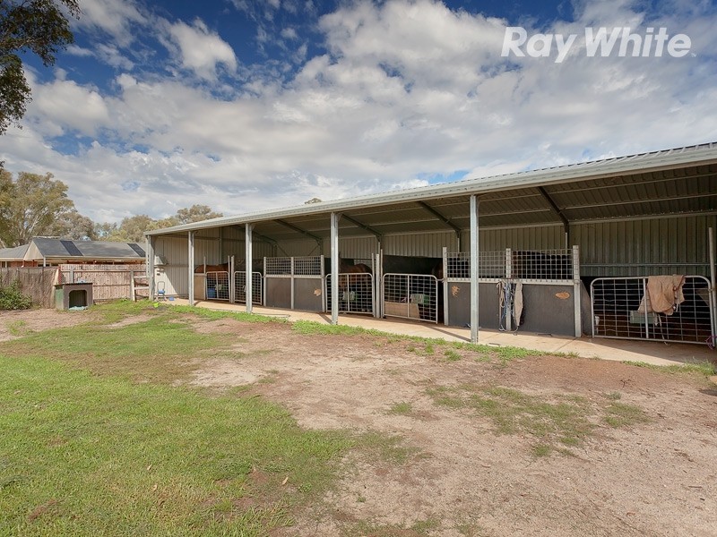 51 Racecourse Road, Albury NSW 2640