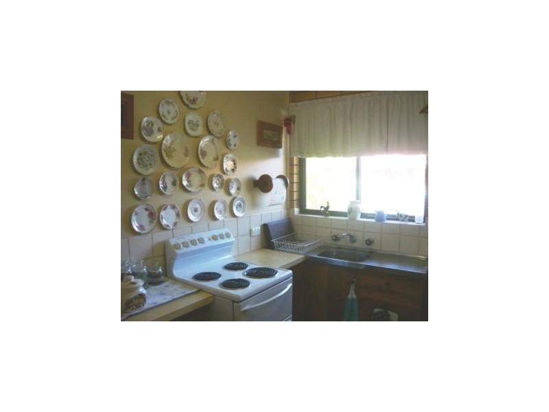 3/414 Bevan Street, Lavington NSW 2641