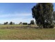 171 Back Henty Road (Old Henty Rd), Culcairn NSW 2660