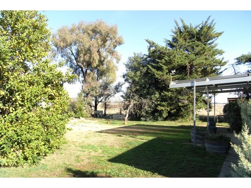 171 Back Henty Road (Old Henty Rd), Culcairn NSW 2660
