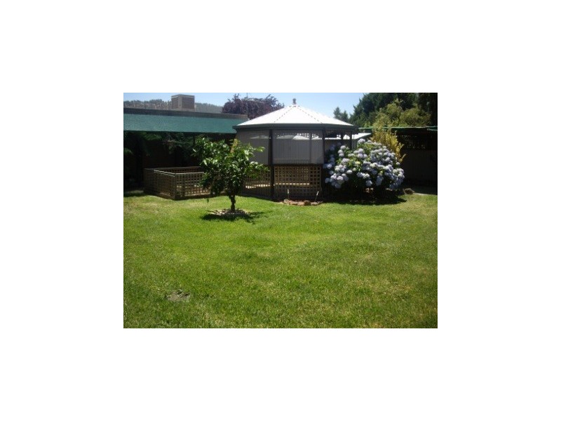 554 Kemp Street, Lavington NSW 2641