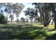 RMB 111 Alma Park Road (Cnr Glue Pot Road), Walla Walla NSW 2659