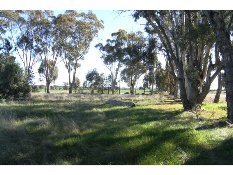 RMB 111 Alma Park Road (Cnr Glue Pot Road), Walla Walla NSW 2659
