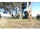 RMB 111 Alma Park Road (Cnr Glue Pot Road), Walla Walla NSW 2659