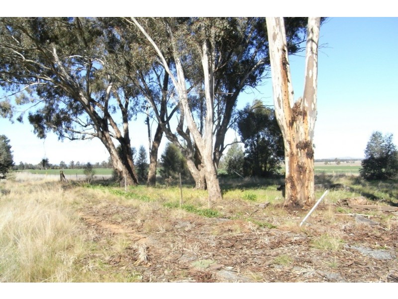 RMB 111 Alma Park Road (Cnr Glue Pot Road), Walla Walla NSW 2659
