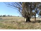 RMB 111 Alma Park Road (Cnr Glue Pot Road), Walla Walla NSW 2659