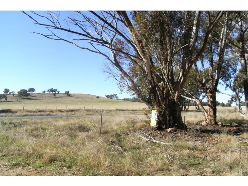 RMB 111 Alma Park Road (Cnr Glue Pot Road), Walla Walla NSW 2659