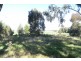 RMB 111 Alma Park Road (Cnr Glue Pot Road), Walla Walla NSW 2659