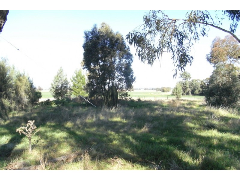 RMB 111 Alma Park Road (Cnr Glue Pot Road), Walla Walla NSW 2659