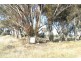 RMB 111 Alma Park Road (Cnr Glue Pot Road), Walla Walla NSW 2659