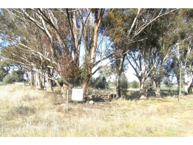 RMB 111 Alma Park Road (Cnr Glue Pot Road), Walla Walla NSW 2659