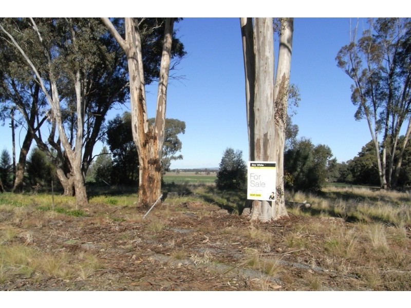 RMB 111 Alma Park Road (Cnr Glue Pot Road), Walla Walla NSW 2659