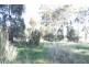 RMB 111 Alma Park Road (Cnr Glue Pot Road), Walla Walla NSW 2659
