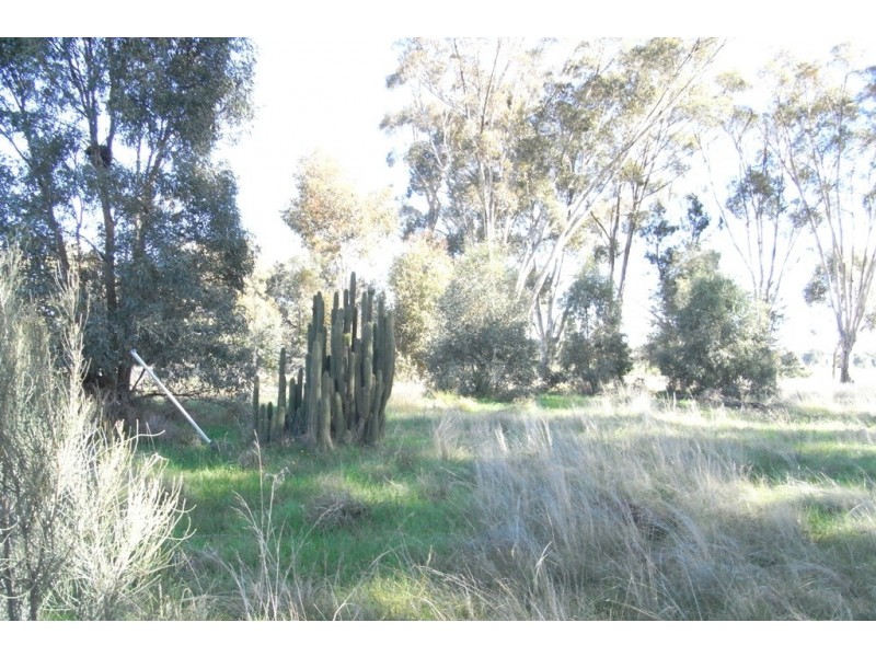 RMB 111 Alma Park Road (Cnr Glue Pot Road), Walla Walla NSW 2659