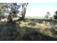 RMB 111 Alma Park Road (Cnr Glue Pot Road), Walla Walla NSW 2659
