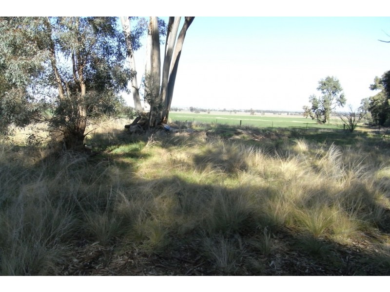 RMB 111 Alma Park Road (Cnr Glue Pot Road), Walla Walla NSW 2659